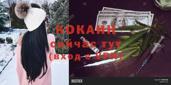 PSILOCYBIN Валдай
