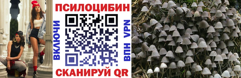 Псилоцибиновые грибы прущие грибы  Галич 